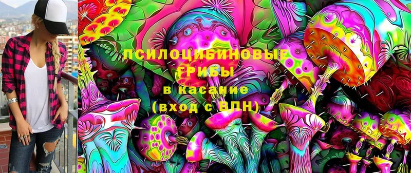 дарнет шоп  Добрянка  Галлюциногенные грибы MAGIC MUSHROOMS 